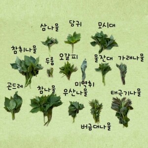 <font color=red>4월말 첫출고 예정 </font>강원도 홍천 혼합나물 자연산나물</font> 1kg